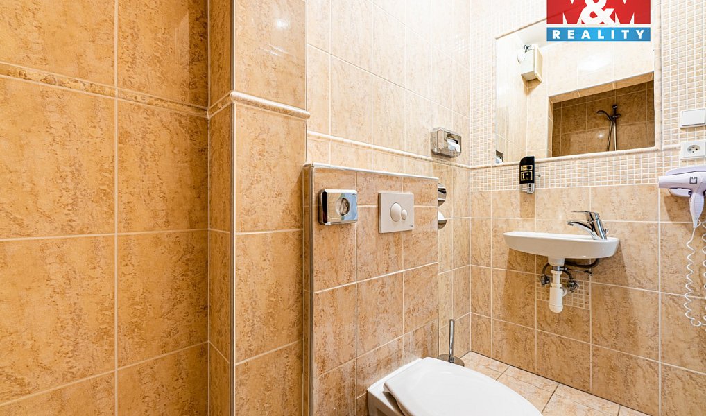 Pronájem bytu 2+kk 80 m², Plzeň – náhled fotky 12
