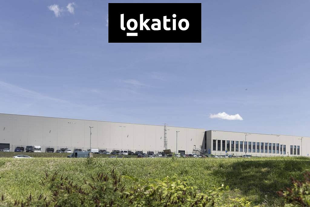 Pronájem výrobních prostor 10 173 m² — photo 2