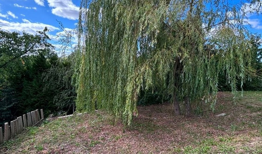 Prodej chaty/chalupy 16 m² s pozemkem 312 m², Klimkovice – náhled fotky 8