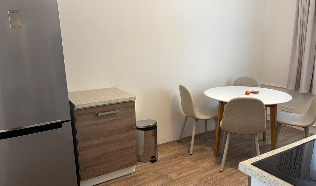 Pronájem bytu 2+1 51 m², Pardubice – náhled fotky 3