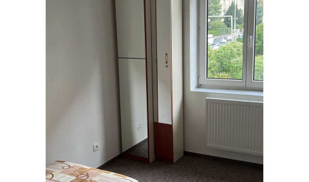 Pronájem bytu 2+1 54 m², Praha – náhled fotky 9