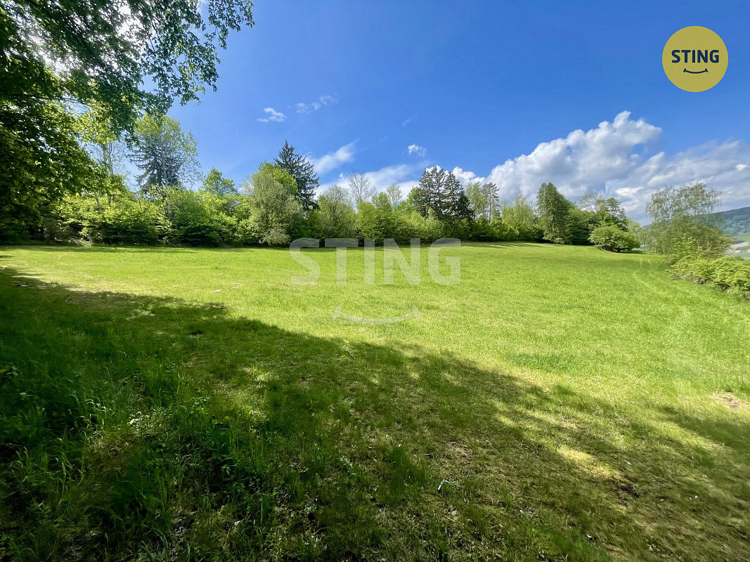 Prodej lesa 16 440 m² – pohled 3
