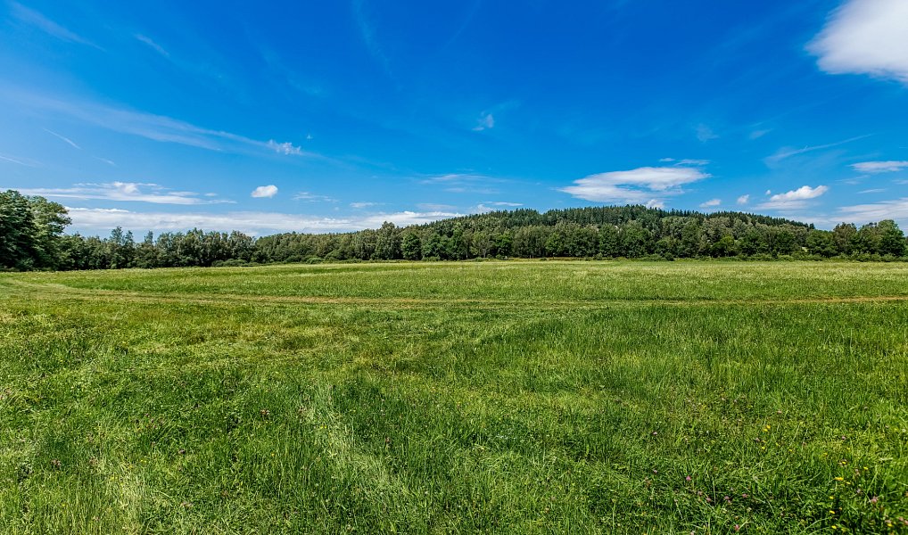 Prodej stavebního pozemku 1 000 m², Horní Planá – náhled fotky 7
