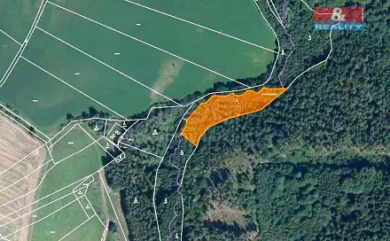 Prodej lesa 4 280 m², Borotice, okres Příbram