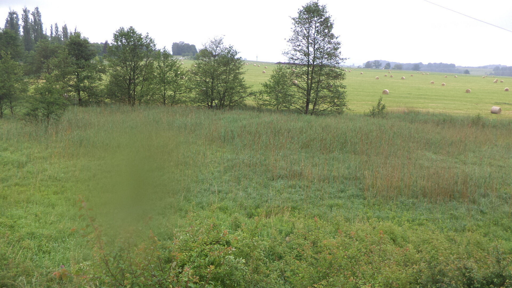 Prodej pole 4 685 m² – fotografie 4