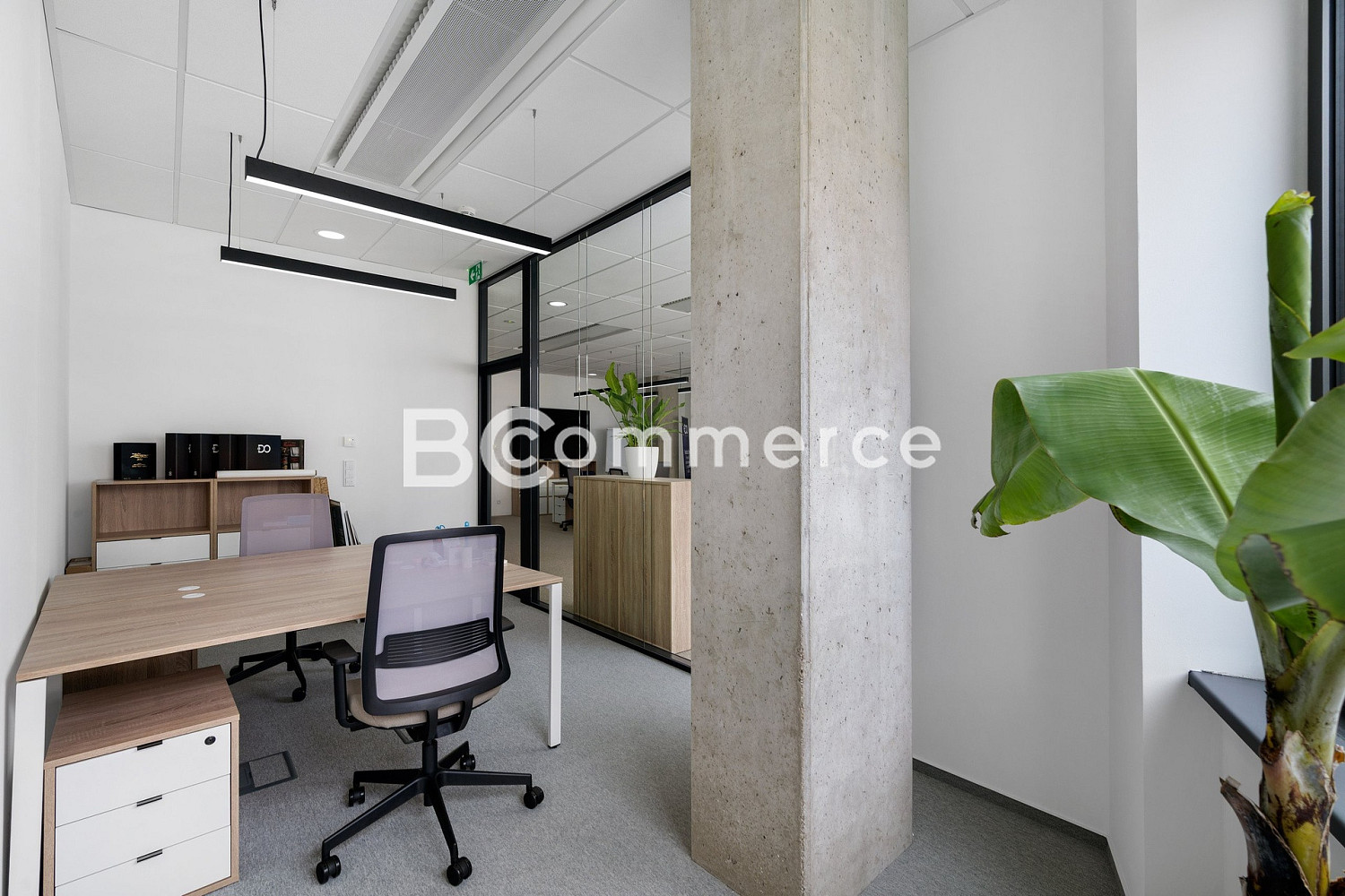 Pronájem kanceláře 148 m² – fotografie 5