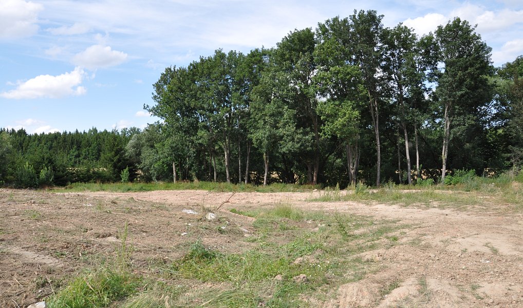 Prodej stavebního pozemku 2 762 m², Písečné – náhled fotky 6