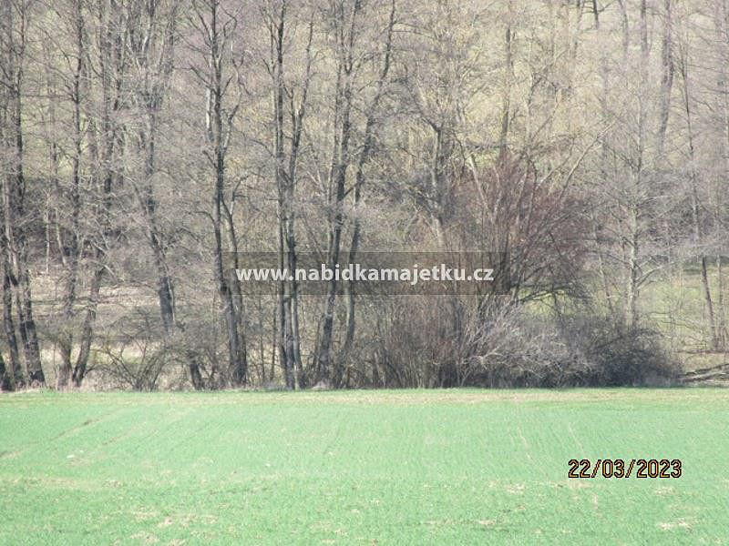 Prodej vodní plochy 230 m²