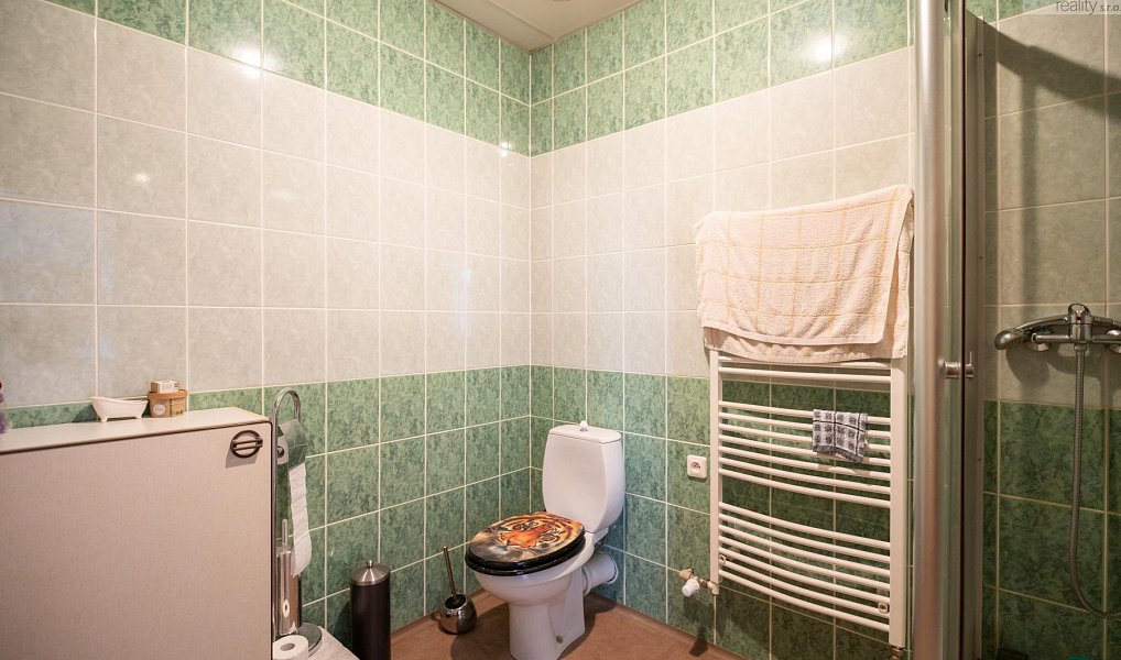 Prodej restaurace 480 m², Litvínov – náhled fotky 38