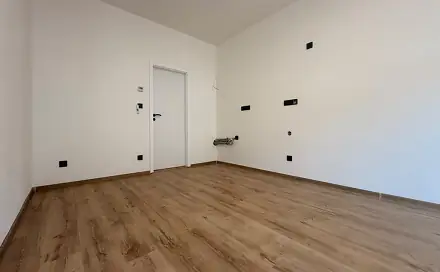 Prodej bytu 2+kk 53 m², Pařížská, Plzeň - Východní Předměstí