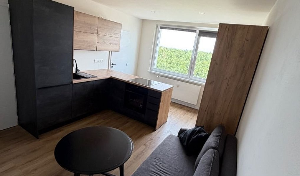 Prodej bytu 1+kk 31 m², Praha – náhled fotky 12
