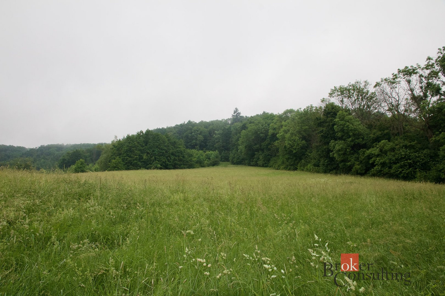 Prodej louky 89 230 m² – fotografie 5