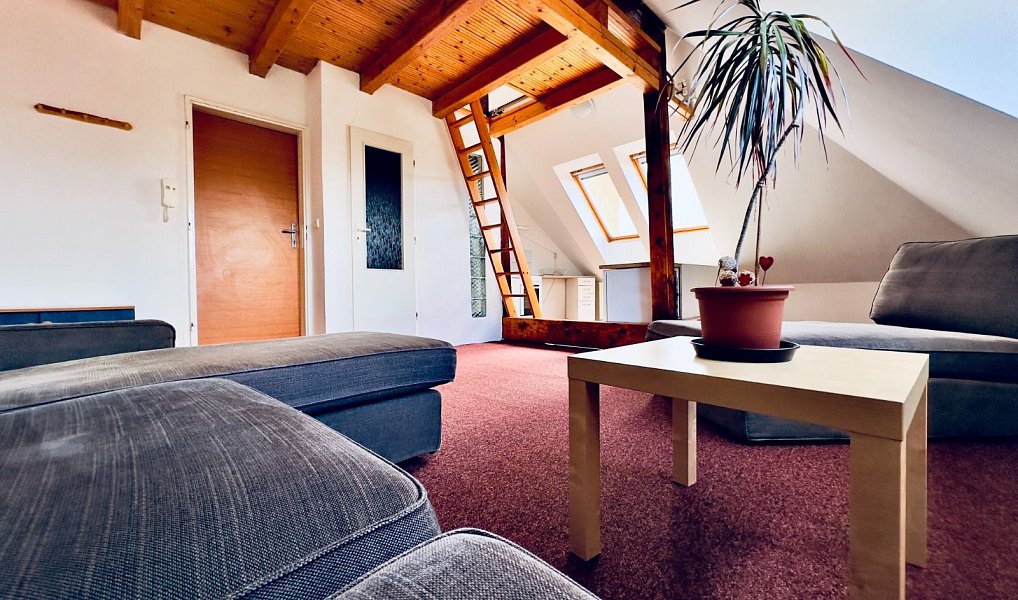 Pronájem bytu 1+kk 45 m², Cheb – náhled fotky 9
