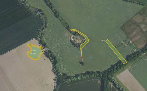 Prodej pole 20 462 m², Horušice, okres Kutná Hora