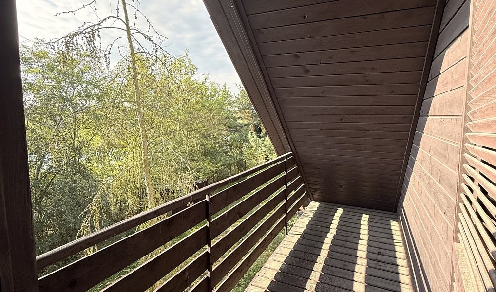 Prodej chaty/chalupy 180 m² s pozemkem 894 m², Račice – náhled fotky 36