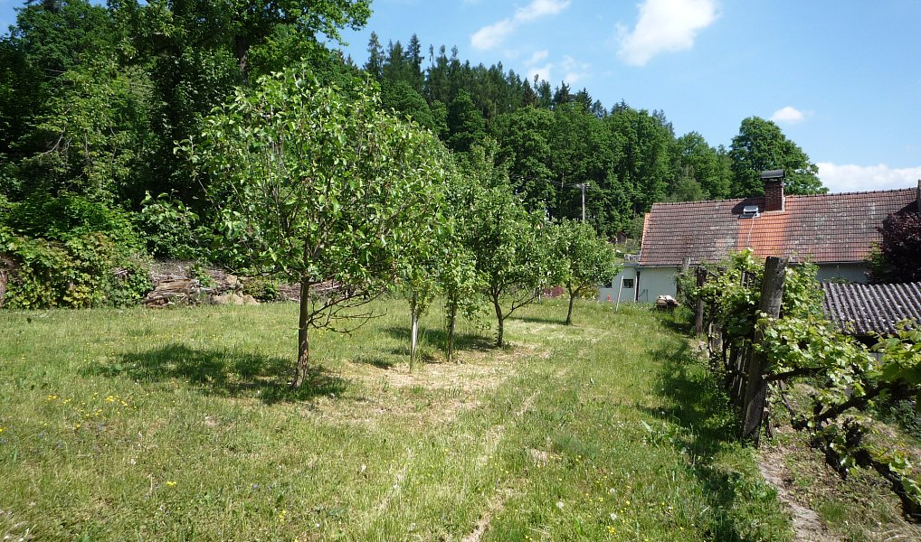 Prodej domu 90 m² s pozemkem 3 180 m², Kovčín – náhled fotky 8