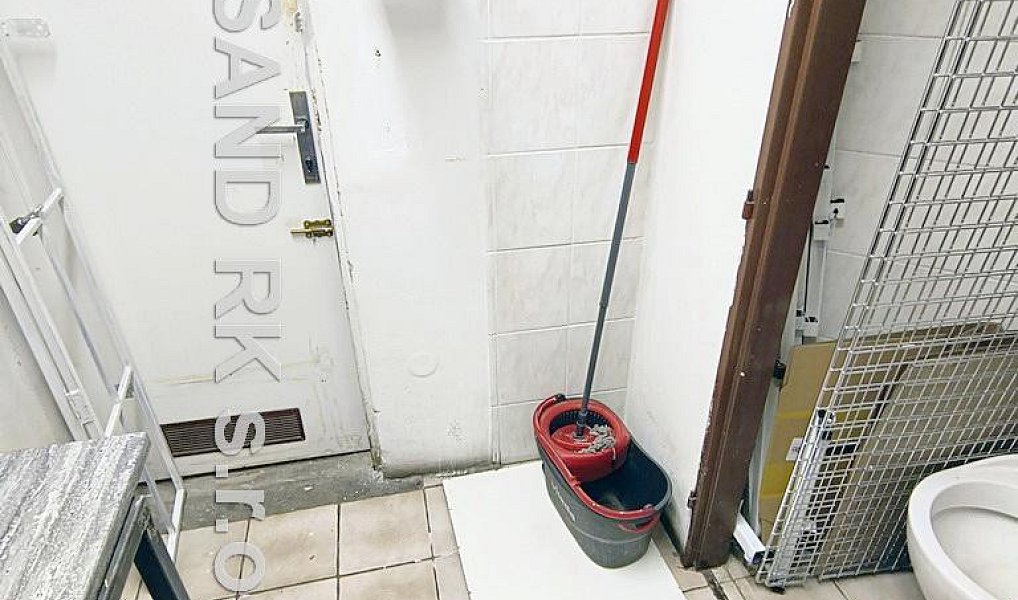 Pronájem obchodních prostor 98 m², Plzeň – náhled fotky 11
