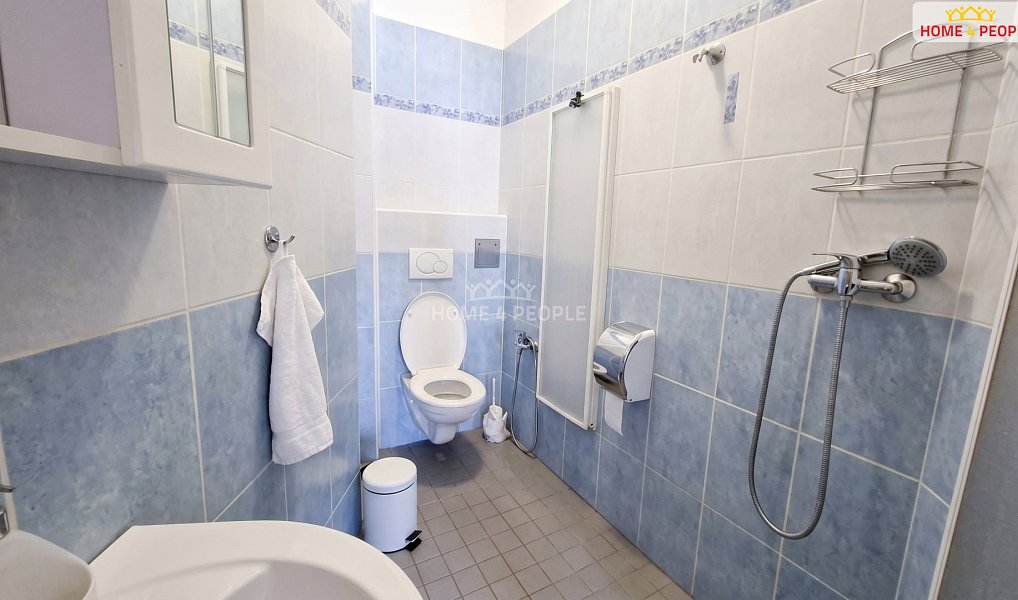 Pronájem bytu 2+1 57 m², Brno – náhled fotky 19