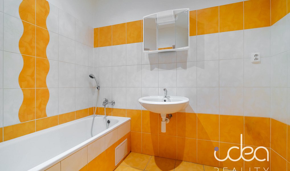 Pronájem bytu 1+1 35 m², Plzeň – náhled fotky 6