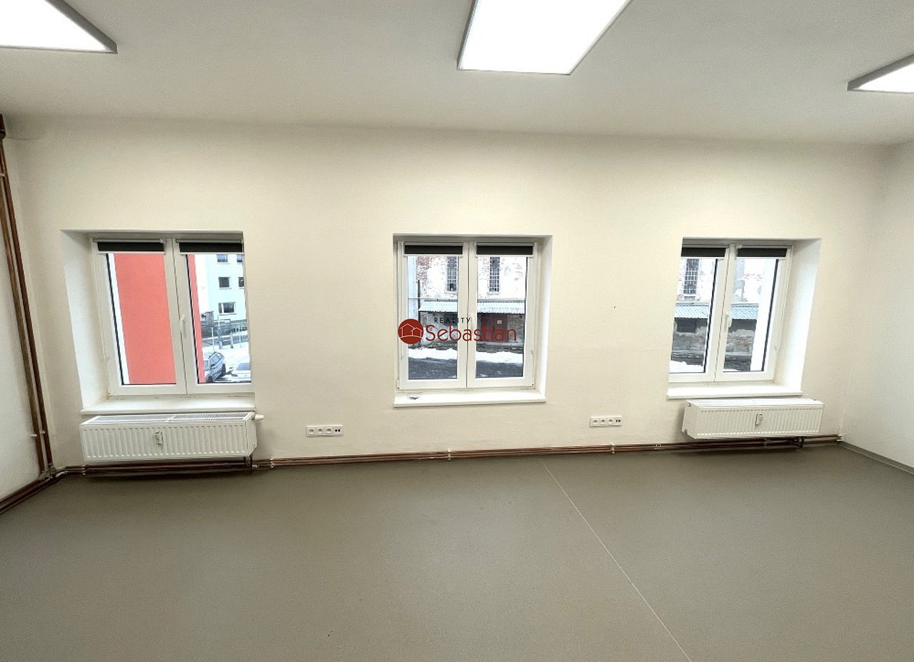 Pronájem obchodních prostor 245 m² — photo 2