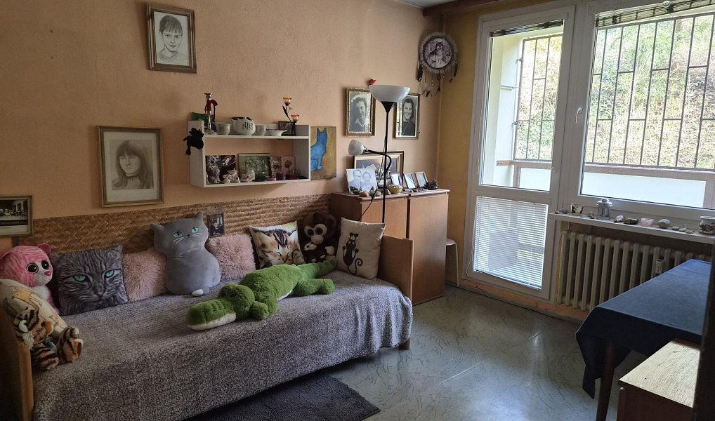 Prodej bytu 4+1 90 m², Praha – náhled fotky 14