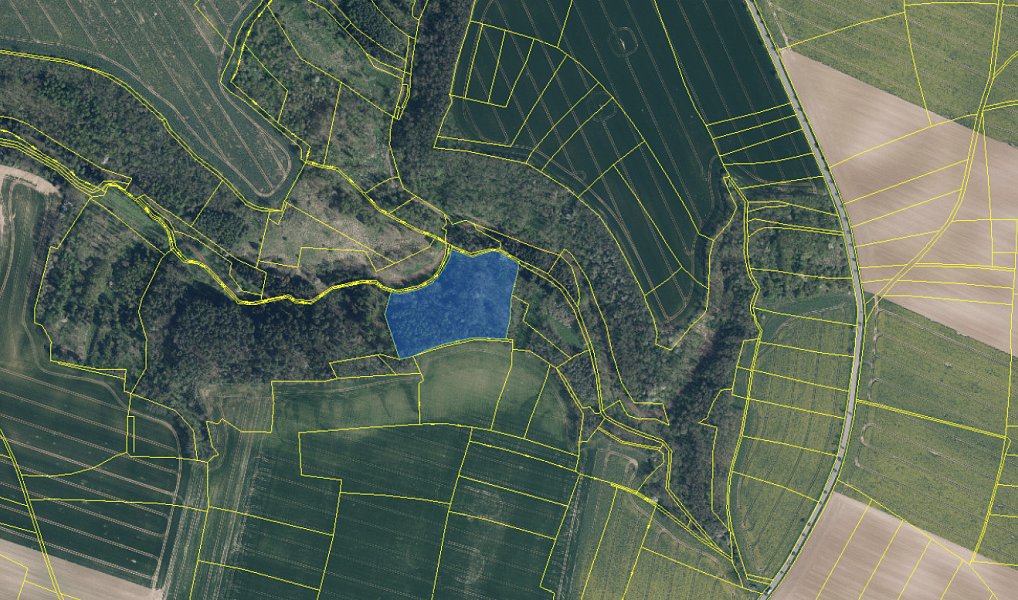 Prodej lesa 14 454 m², Mělnické Vtelno – fotka 1 z 21