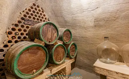Prodej komerčního objektu (jiného typu) 25 m², Leska, Dobšice, okres Znojmo