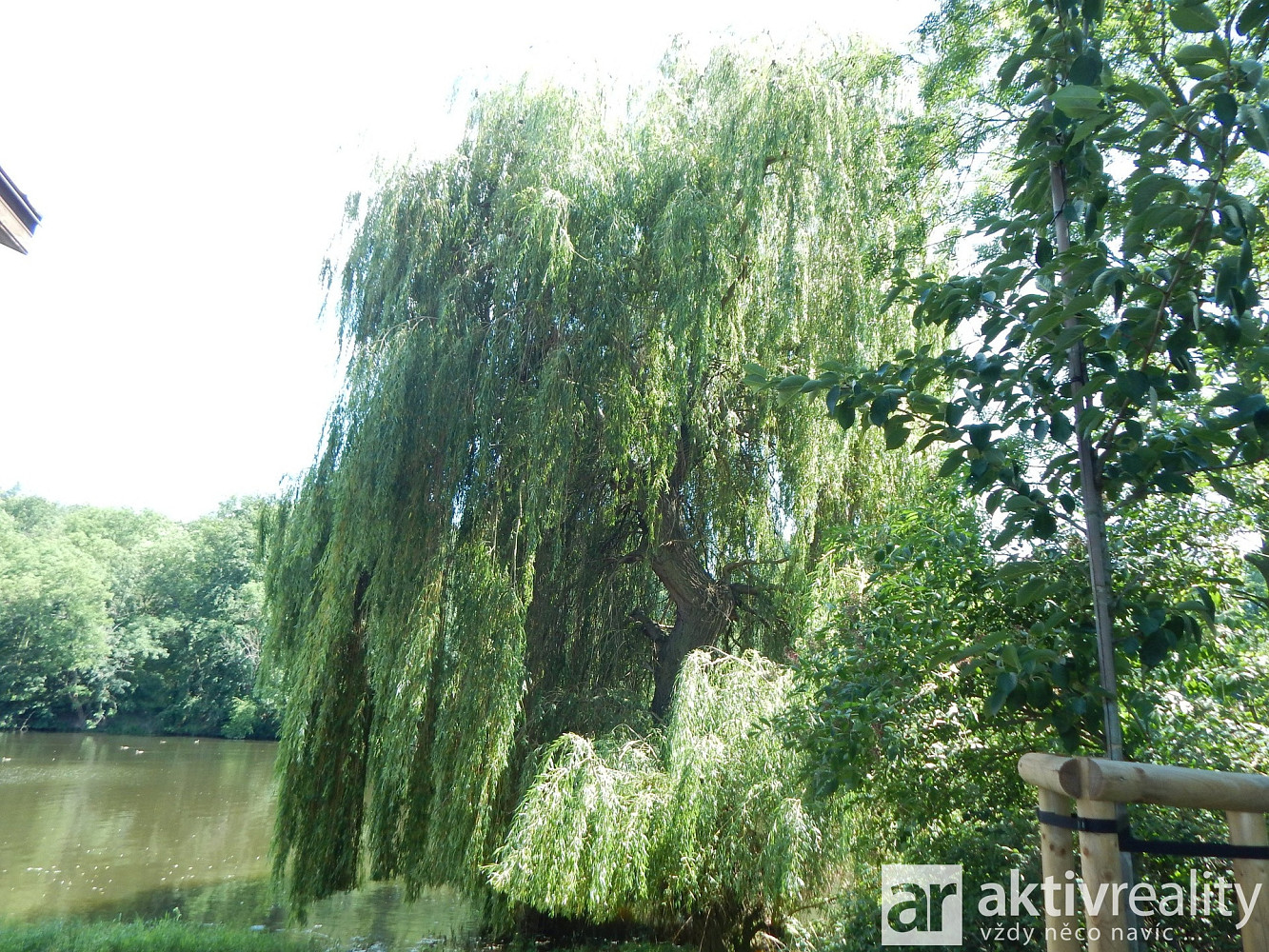 Prodej chaty/chalupy 48 m² s pozemkem 225 m² — photo 5