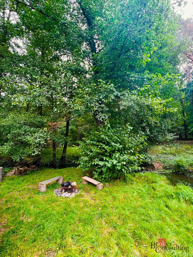 Prodej louky 1 277 m² – fotografie 4
