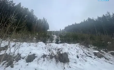 Prodej lesa 70 240 m², Bozkov, okres Semily