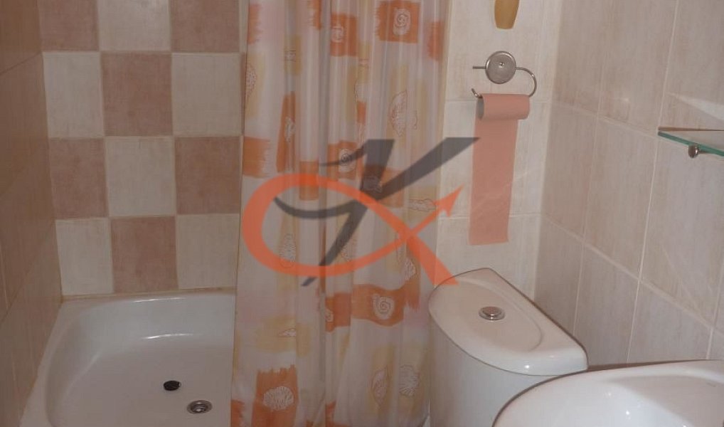 Pronájem bytu 1+kk 28 m², Zubří – náhled fotky 4
