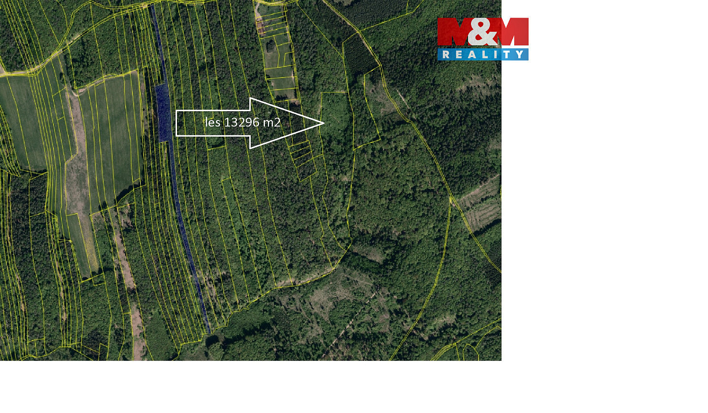 Prodej lesa 13 296 m²