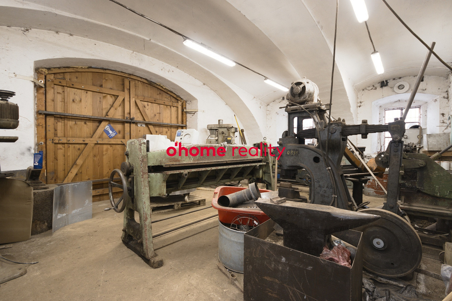 Fotka 13 z 25