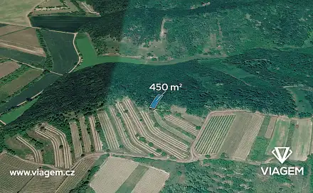 Prodej lesa 450 m², Němčičky, okres Břeclav