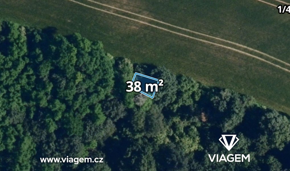 Prodej lesa 4 460 m², Lukovany – náhled fotky 3