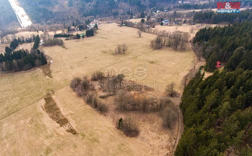 Prodej stavebního pozemku 16 128 m², Zdobnice, okres Rychnov nad Kněžnou