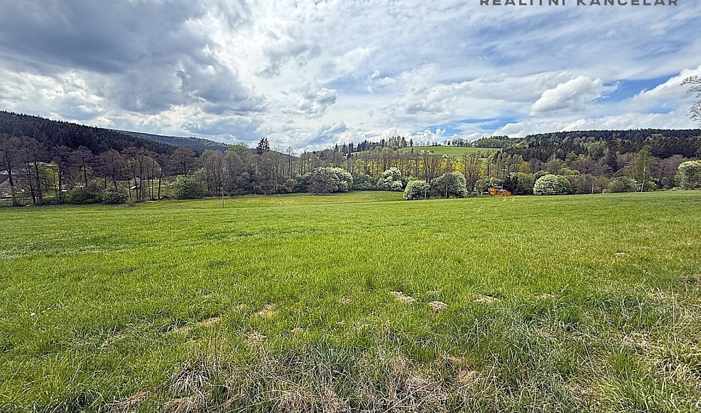 Prodej louky 17 174 m², Březiny – náhled fotky 4