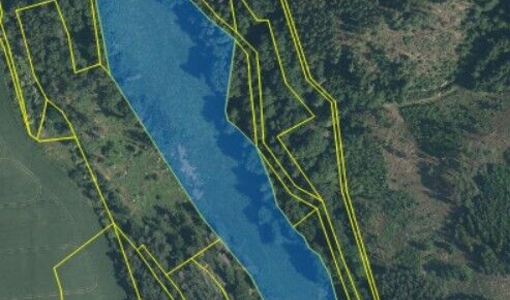 Pronájem pole 47 593 m², Svojšín – náhled fotky 3