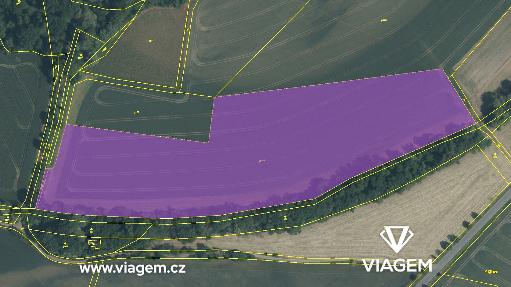 Prodej pole 38 624 m² – fotografie 4