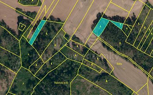 Prodej lesa 5 299 m², Hodov, okres Třebíč