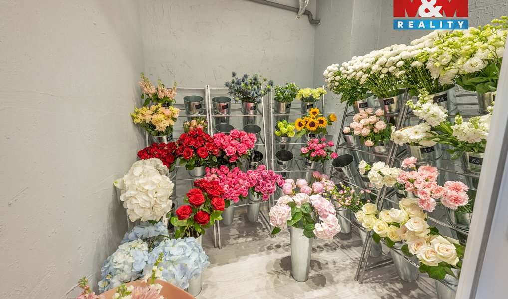 Pronájem obchodních prostor 48 m², Praha – náhled fotky 4