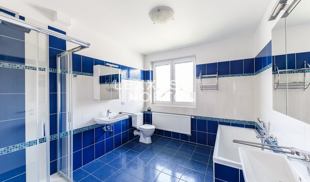 Pronájem domu 400 m² s pozemkem 10 000 m², Průhonice – náhled fotky 5