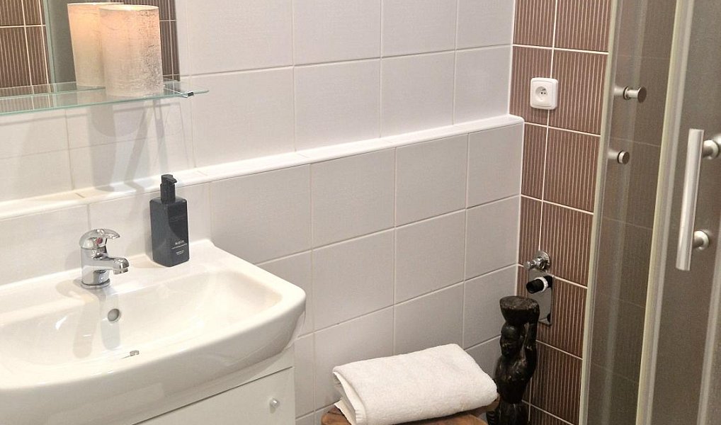 Pronájem bytu 1+kk 23 m², Luhačovice – náhled fotky 9