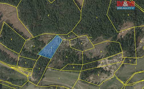 Prodej lesa 4 046 m², Přechovice, okres Strakonice