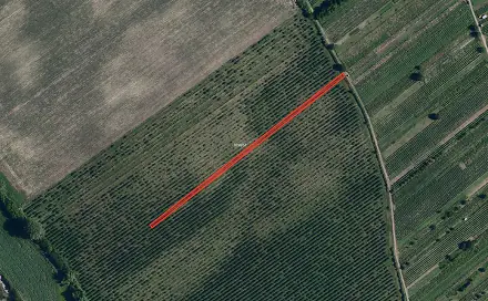 Prodej pole 2 179 m², Prušánky, okres Hodonín