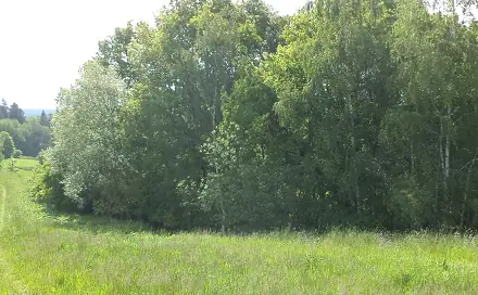Dražba louky 1 175 m², Vícemil
