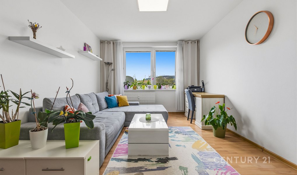 Prodej bytu 3+1 69 m², Velká nad Veličkou – náhled fotky 6