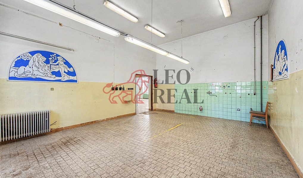 Prodej domu 500 m² s pozemkem 780 m², Svitavy – náhled fotky 12