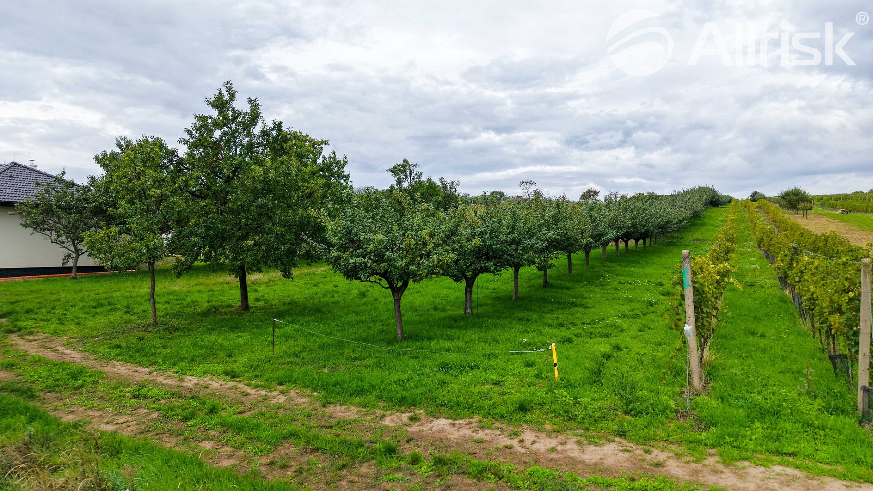 Prodej stavebního pozemku 1 865 m²