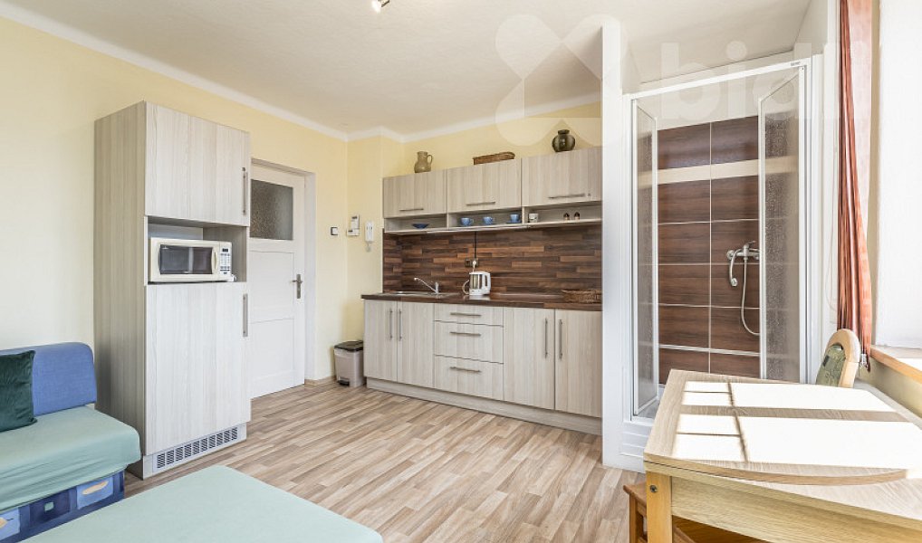 Prodej domu 300 m² s pozemkem 968 m², Kašperské Hory – náhled fotky 21